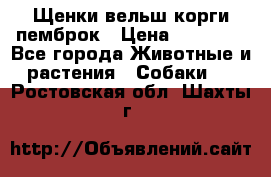 Щенки вельш корги пемброк › Цена ­ 70 000 - Все города Животные и растения » Собаки   . Ростовская обл.,Шахты г.